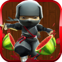 Fruit Clash Ninja