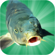 Carp Fishing Simulator