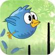 Line Birds